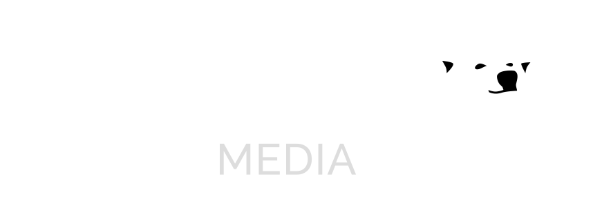 Polaris-logo_transparent